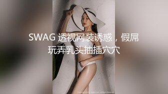 SWAG 透视网装诱惑，假屌玩弄乳头抽插穴穴