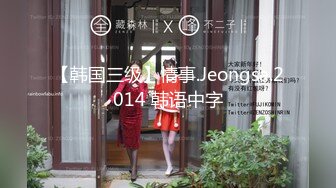 【韩国三级】情事.Jeongsa.2014 韩语中字