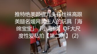 推特绝美颜值九头身丝袜高跟美腿名媛网黄主人的玩具「海绵宝宝」「小海绵」OF大尺度性爱私拍【第二弹】 (2)