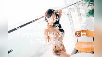 〖小家碧玉❤️清纯萌妹〗爆操新乐美院颜值萝莉，反差至极，直接射在了嘴上，燃爆了！极品jk双马尾小萝莉，表情特写无比销魂 (5)