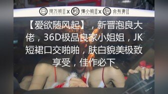 【爱欲随风起】，新晋泡良大佬，36D极品良家小姐姐，JK短裙口交啪啪，肤白貌美极致享受，佳作必下