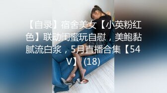 【自录】宿舍美女【小英粉红色】联动闺蜜玩自慰，美鲍黏腻流白浆，5月直播合集【54V】 (18)