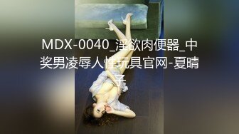 MDX-0040_淫欲肉便器_中奖男凌辱人性玩具官网-夏晴子