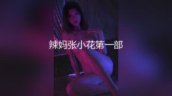 辣妈张小花第一部