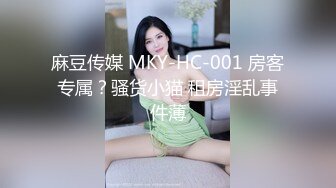 麻豆传媒 MKY-HC-001 房客专属？骚货小猫 租房淫乱事件薄