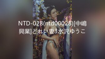 NTD-028(ntd00028)[中嶋興業]どれい妻3水沢ゆうこ