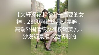 【文轩探花】你们一直要的女神，2800网约极品明星脸，高端外围清纯女神粉嫩美乳，沙发近景抠穴激情啪啪