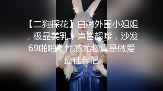 【二狗探花】白嫩外围小姐姐，极品美乳，声音超嗲，沙发69啪啪，性感尤物真是做爱最佳伴侣