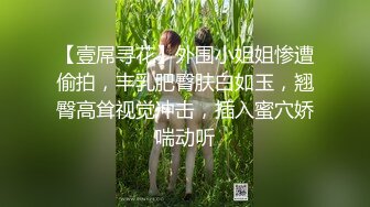 【壹屌寻花】外围小姐姐惨遭偷拍，丰乳肥臀肤白如玉，翘臀高耸视觉冲击，插入蜜穴娇喘动听