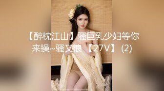 【醉枕江山】骚巨乳少妇等你来操~骚又浪 【27V】 (2)