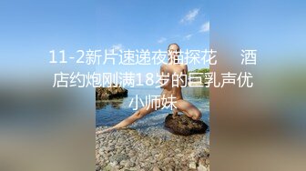 11-2新片速递夜猫探花❤️酒店约炮刚满18岁的巨乳声优小师妹