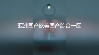 亚洲国产欧美国产综合一区