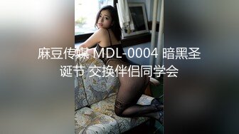 麻豆传媒 MDL-0004 暗黑圣诞节 交换伴侣同学会