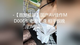 -【首发推荐】国产AV佳作MD0066-老友重逢 相干恨晚 淫声浪叫一整晚