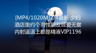 [MP4/1020M]2/4最新 少妇酒店里约个男性朋友做爱无套内射逼逼上都是精液VIP1196