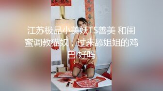 江苏极品小美妖TS善美 和闺蜜调教猫奴，过来舔姐姐的鸡巴 好吗