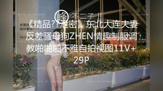 《精品??泄密》东北大连夫妻反差骚母狗ZHEN情趣制服调教啪啪啪不雅自拍视图11V+29P