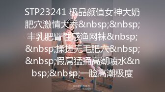 STP23241 极品颜值女神大奶肥穴激情大秀&nbsp;&nbsp;丰乳肥臀性感渔网袜&nbsp;&nbsp;揉搓无毛肥穴&nbsp;&nbsp;假屌猛捅高潮喷水&nbsp;&nbsp;一脸高潮极度