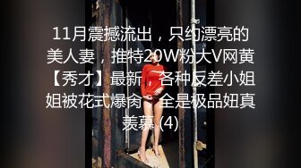 11月震撼流出，只约漂亮的美人妻，推特20W粉大V网黄【秀才】最新，各种反差小姐姐被花式爆肏，全是极品妞真羡慕 (4)