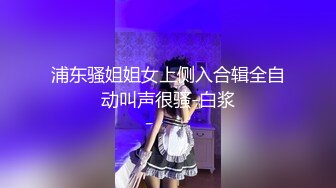 浦东骚姐姐女上侧入合辑全自动叫声很骚-白浆