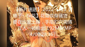 【新片速遞】 2022-5-13【锤子丶探花】花臂纹身骚货，要在沙发上操，手指扣穴调情，正入一顿输出[192MB/MP4/00:28:36]